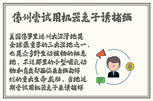 六年级脱身检查